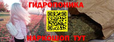 спиды Кандалакша