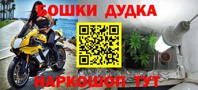 дмт Канаш