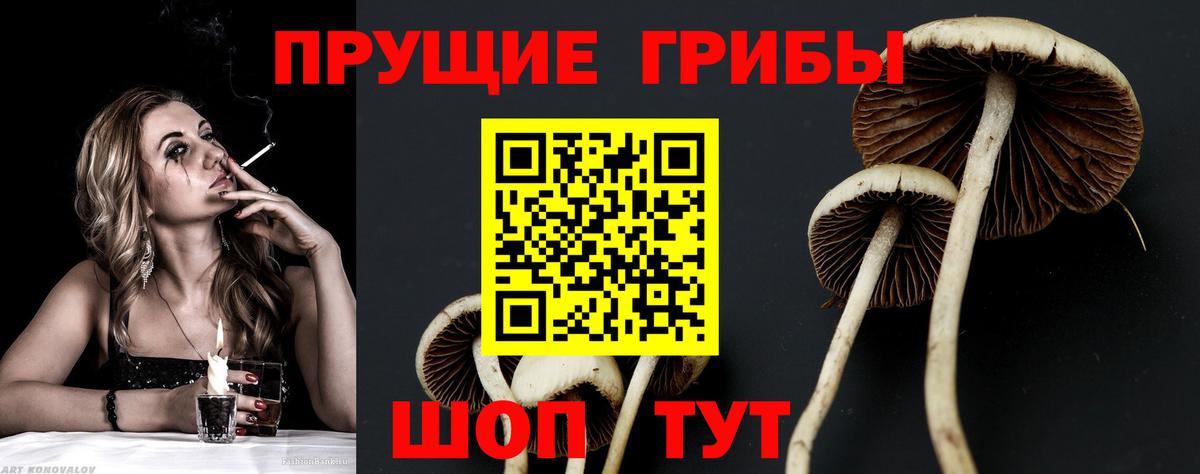 Галлюциногенные грибы прущие грибы Южно-Сахалинск